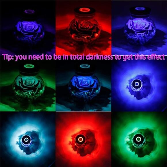 Preserved Real Roses with Colorful Mood Light Wishing Bottle, Eternal - Picture 5 of 7